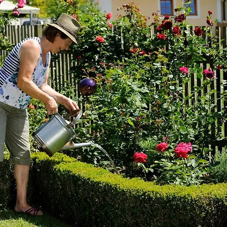 Huber 3* Fuschl am See