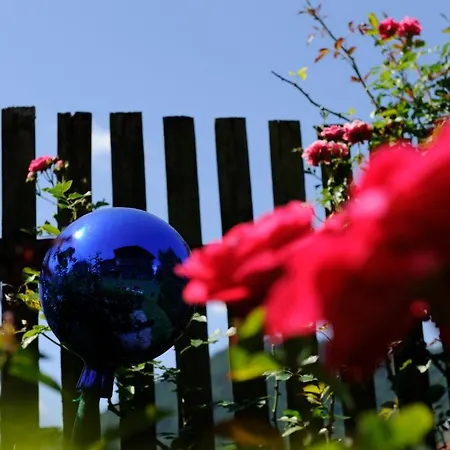 Casa de hóspedes Fruehstueckspension Huber Fuschl am See