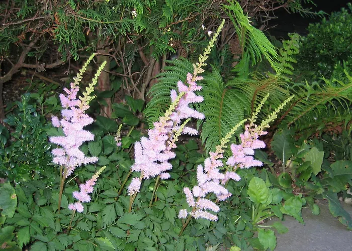 Fruehstueckspension Huber Vendégház